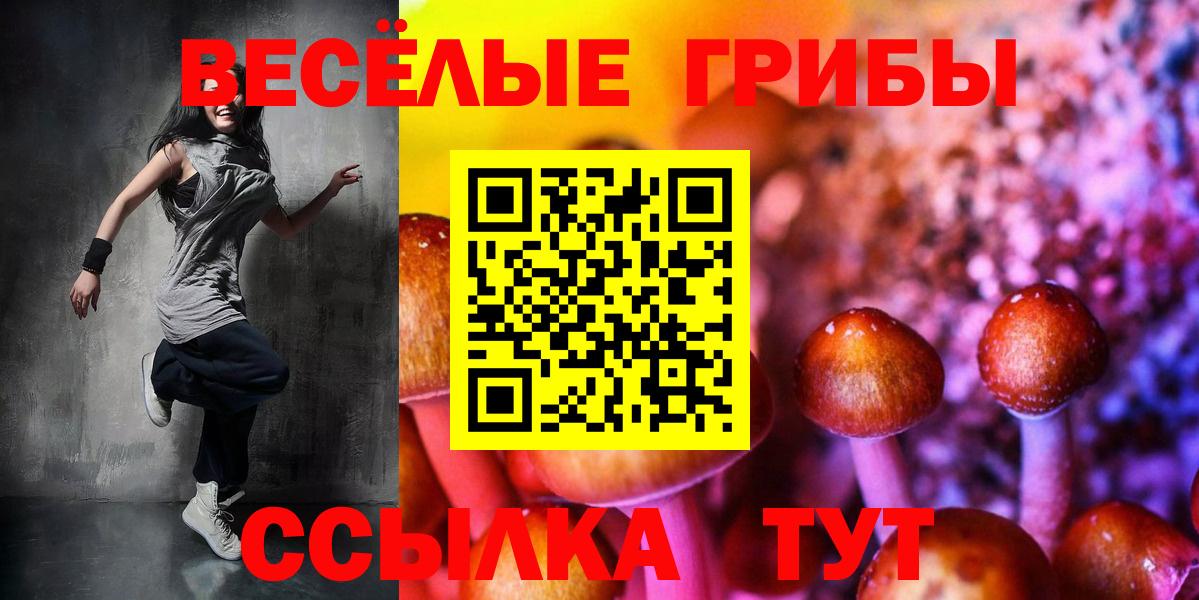 Галлюциногенные грибы Psilocybine cubensis Котельники