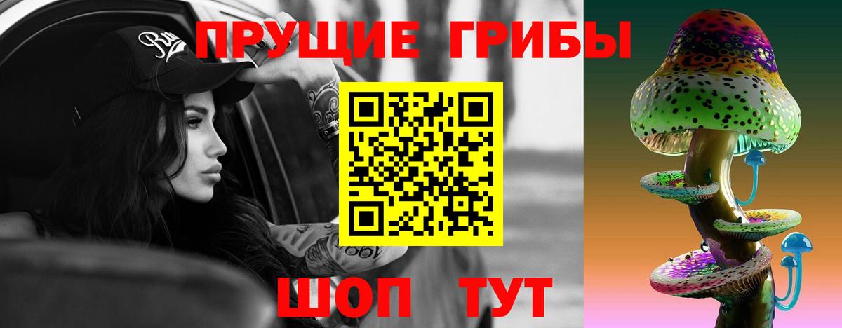 Галлюциногенные грибы прущие грибы  Вход с VPN  Котельники 